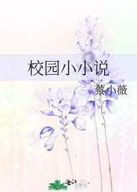 华为小折叠屏手机快来了,发布时间大概率是今年2月份